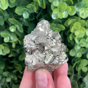 Pyrite Cluster