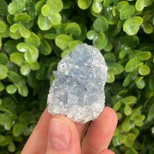 Load image into Gallery viewer, Small Celestite Cluster