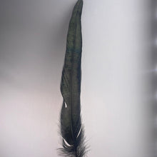 Load image into Gallery viewer, Black Feather