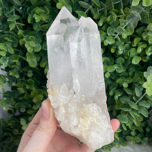 Clear Quartz Cluster