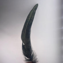 Load image into Gallery viewer, Black Feather