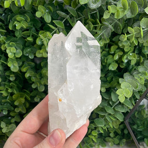 Clear Quartz Cluster