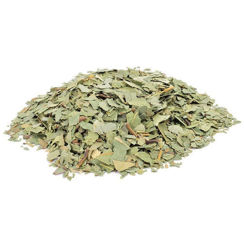 Eucalyptus Leaf