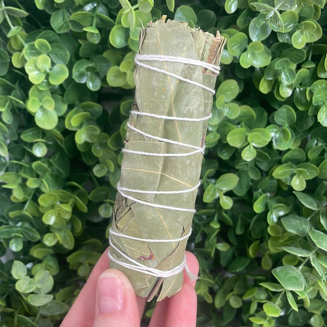 Eucalyptus Bundle