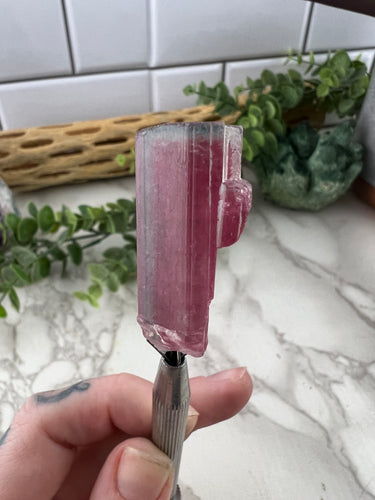 Watermelon Tourmaline