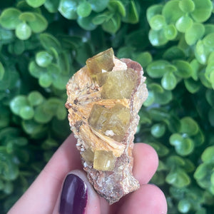 Cubic Yellow Fluorite