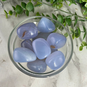 Blue Chalcedony Tumbled