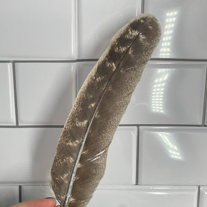 Imitation Turkey Feather