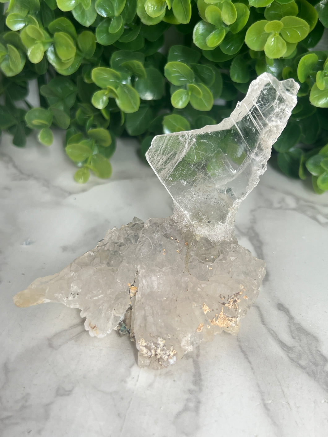 Selenite on Base