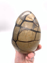 Load image into Gallery viewer, Septarian Druzy Egg