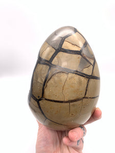 Septarian Druzy Egg
