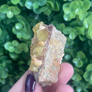 Cubic Yellow Fluorite