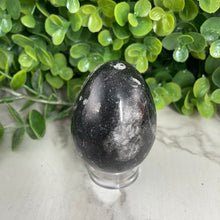 Load image into Gallery viewer, Orthoceras Egg