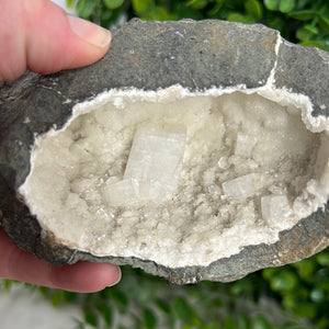 Apophyllite Geode
