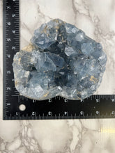 Load image into Gallery viewer, Celestite Heart Cluster