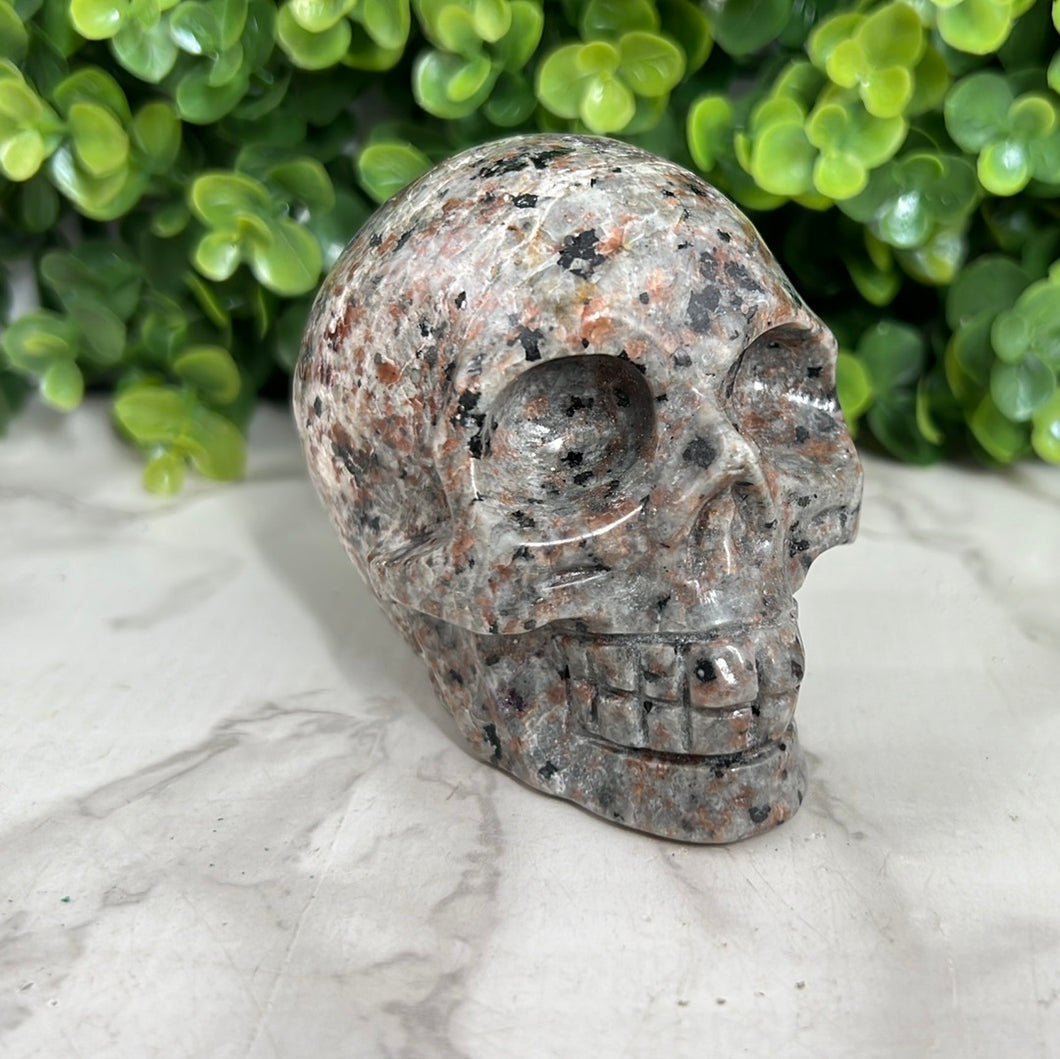 Yooperlite Skull