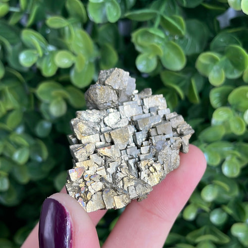 Pyrite/Calcite/Quartz