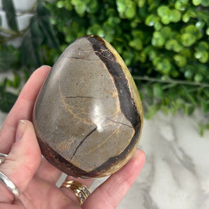 Septarian Egg