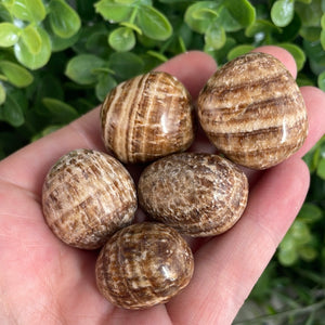 Tumbled Aragonite (1)