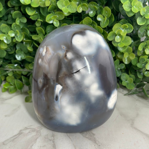 Orca Agate Freeform