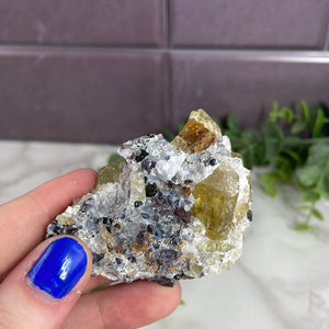 Apatite In The Matrix