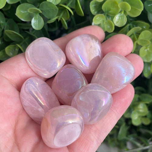Tumbled Rose Aura