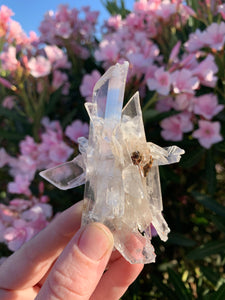 Naica Selenite- RARE