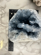 Load image into Gallery viewer, Celestite