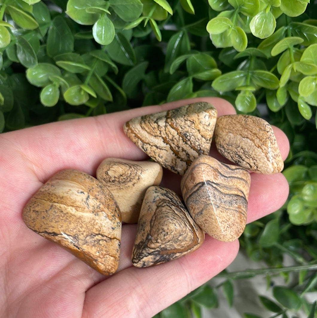 Picture Jasper Tumbled Stone