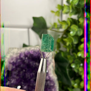 Emerald Gem