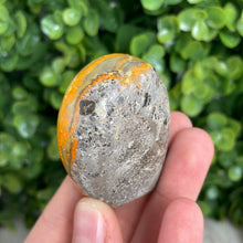 Load image into Gallery viewer, Bumblebee Jasper Freeform