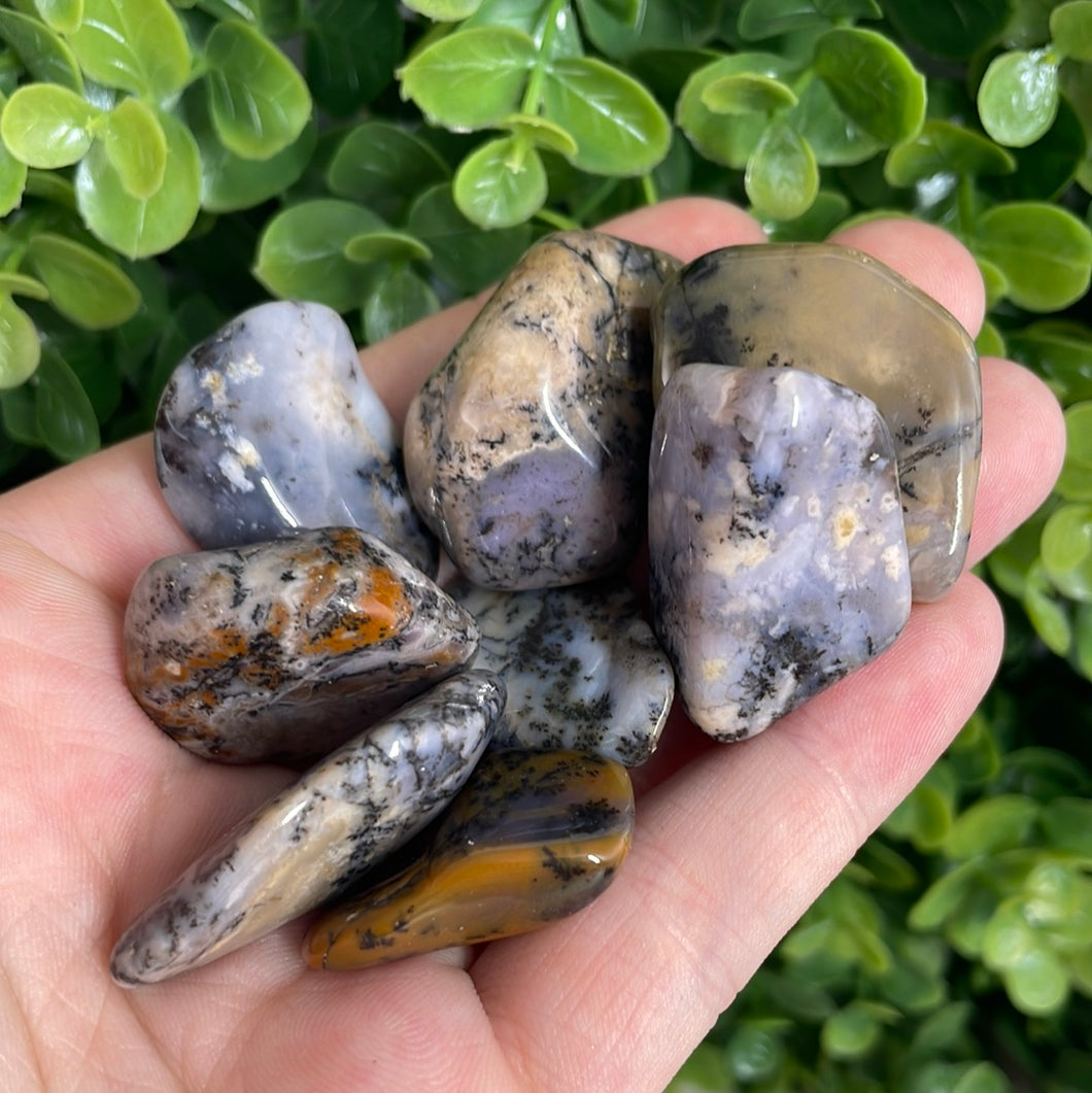 Dendritic Agate Tumbled
