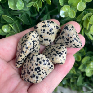 Tumbled Dalmatian Jasper