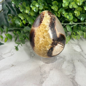 Septarian Egg