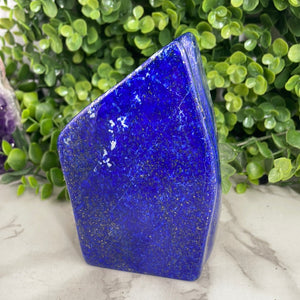 Lapis Lazuli Freeform