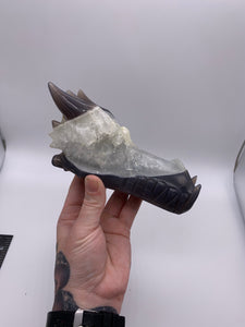 Dragon Skull Agate