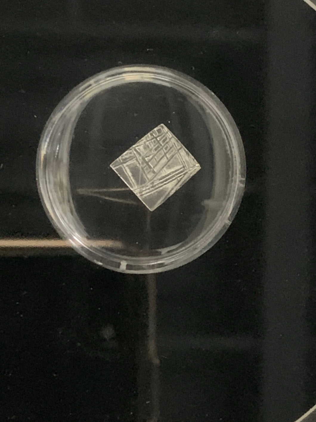 Framed Muonionalusta Meteorite