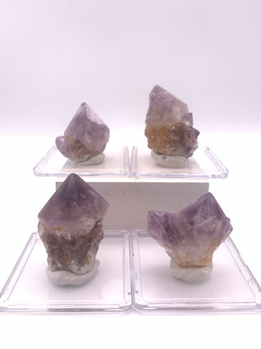 Cactus Spirit Quartz