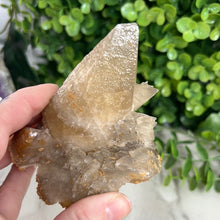 Load image into Gallery viewer, Dogtooth Calcite