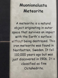 Framed Muonionalusta Meteorite