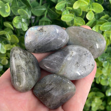 Load image into Gallery viewer, Labradorite Tumbled Stone (1)