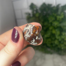 Load image into Gallery viewer, Fire Agate