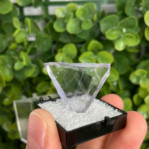 Fluorite Gem Box