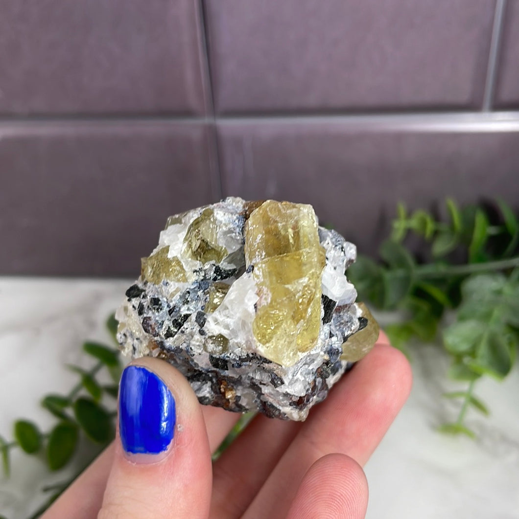 Apatite In The Matrix