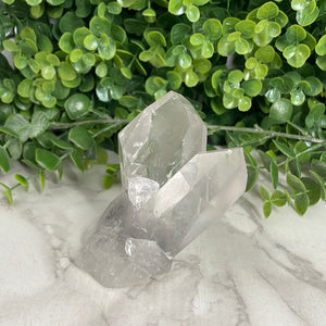 Clear Quartz Cluster