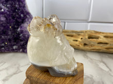 Load image into Gallery viewer, Agate &amp; Quartz Skull