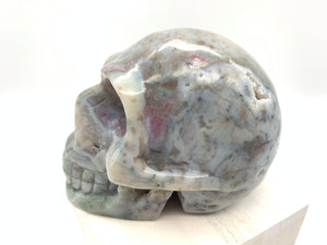 Orbicular Jasper Skull