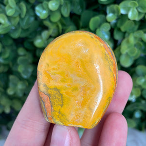 Bumblebee Jasper Freeform