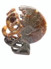 Load image into Gallery viewer, Fossil Ammonite