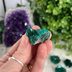 Dioptase Raw Specimen
